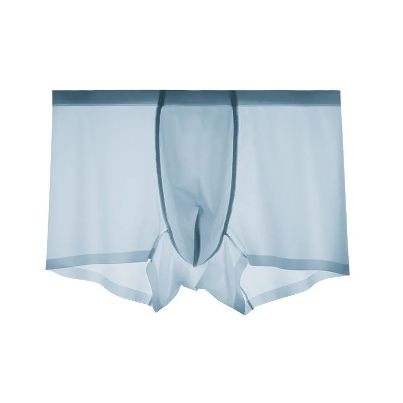 2021 Men's Ice Silk Breathable Underwear