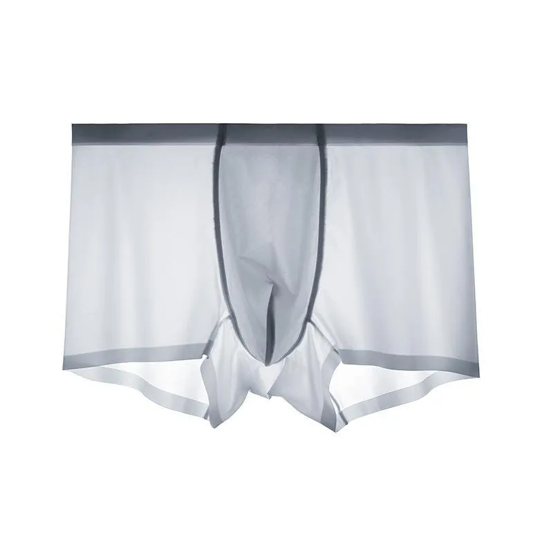 2021 Men's Ice Silk Breathable Underwear