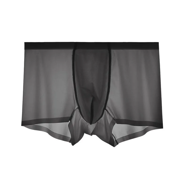 2021 Men's Ice Silk Breathable Underwear