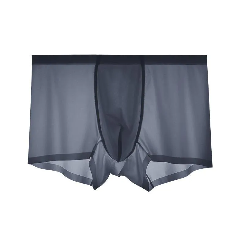 2021 Men's Ice Silk Breathable Underwear