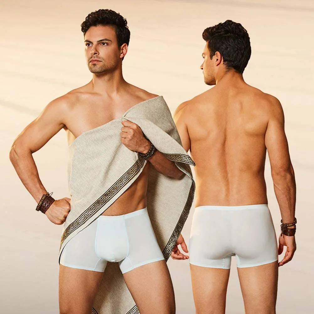 2021 Men's Ice Silk Breathable Underwear
