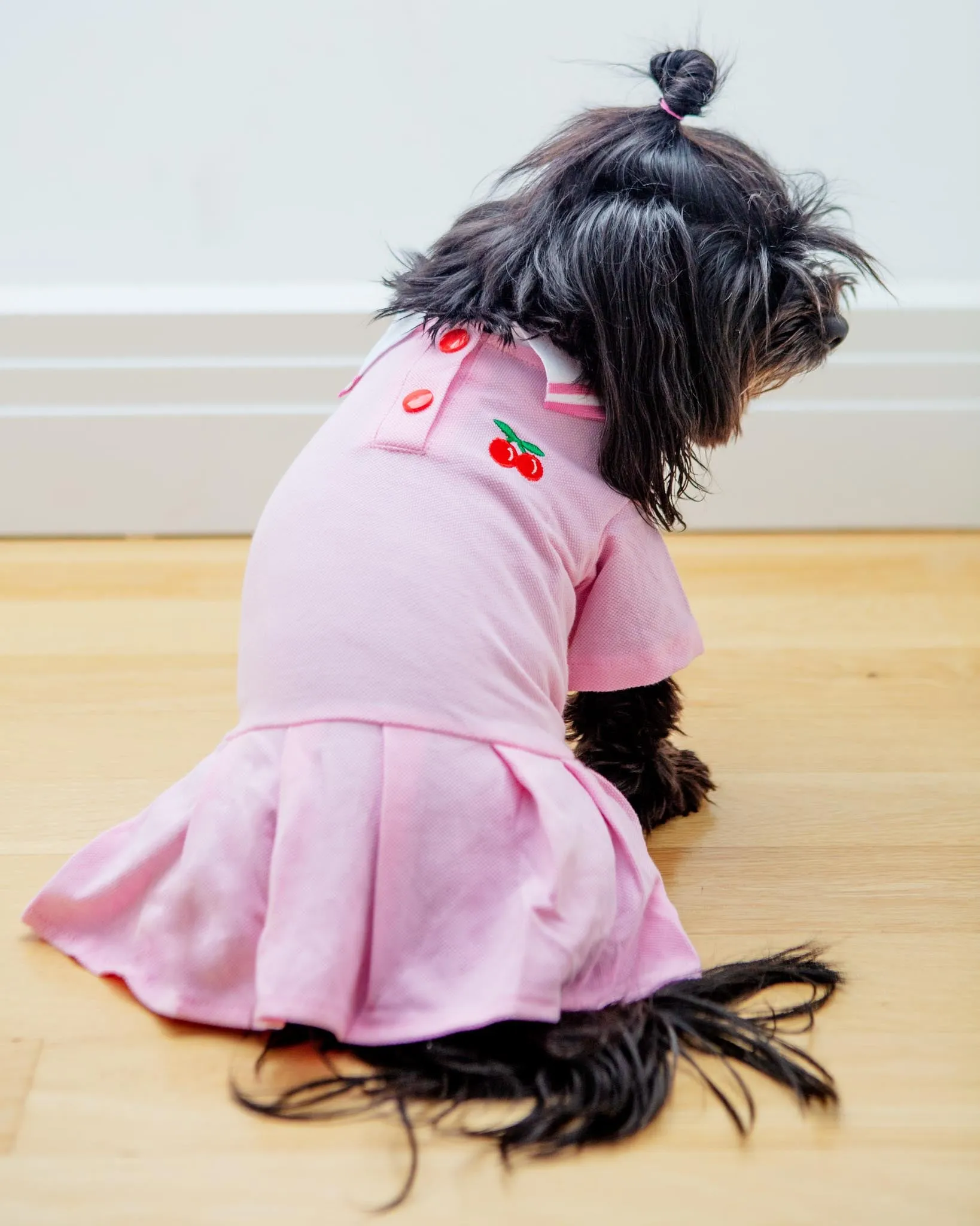 Cheeky Cherry Dog Dress (CLEARANCE)