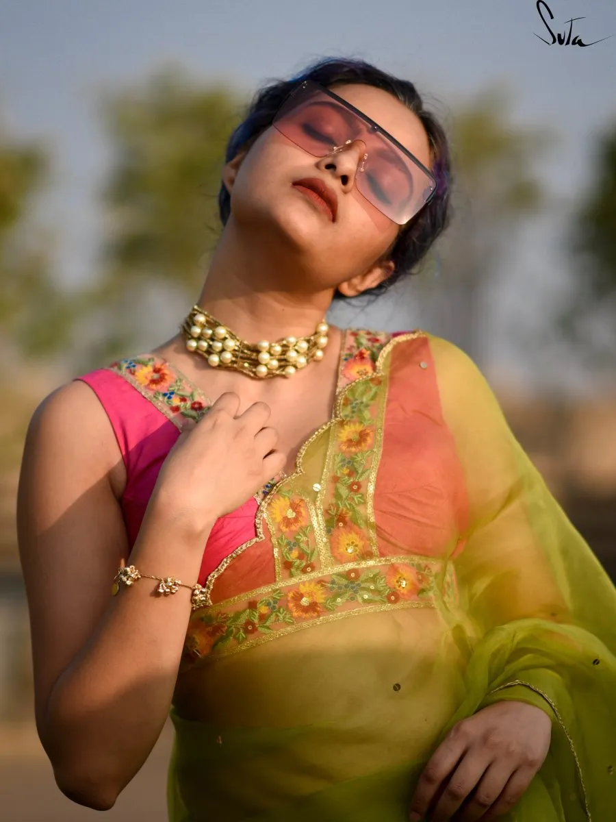 Gulabi Bagicha  ( Blouse )