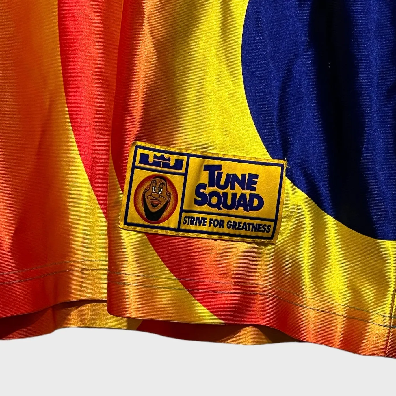 LeBron James Tune Squad Jersey M